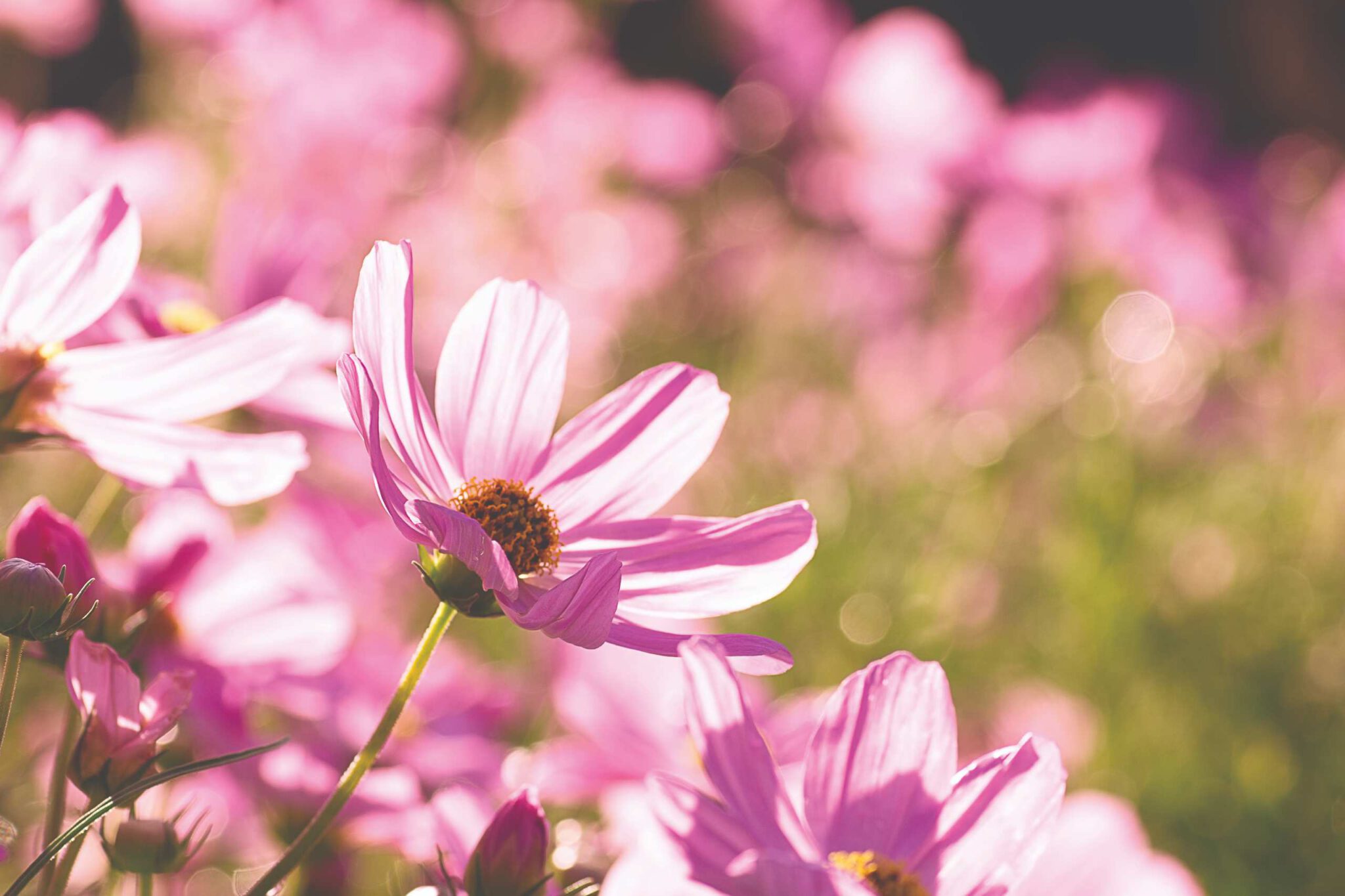 shutterstock_1595791318-compressed