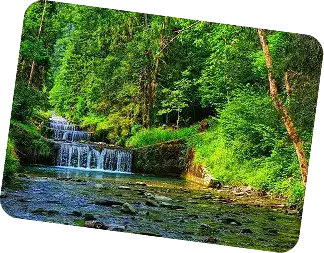 Rectangle 115
